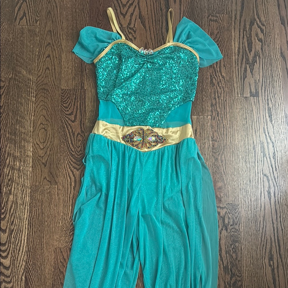 Jasmine / Aladdin Costume